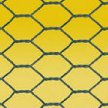 Hexagonal Wire Mesh